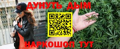 прущие крисы Будённовск