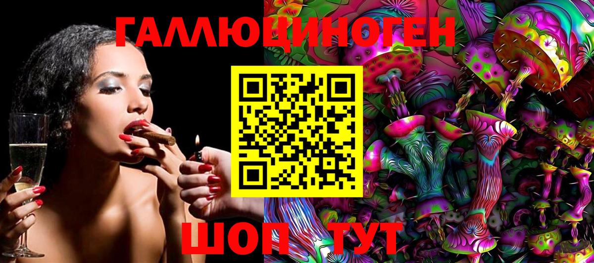 Галлюциногенные грибы прущие грибы  Галлюциногенные грибы мицелий  Сосновый Бор  Вход с VPN 